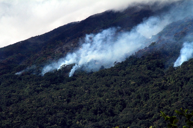 Gunung Slamet Kebakaran Jalur Pendakian Ditutup, Sejumlah Pendaki Terjebak ?