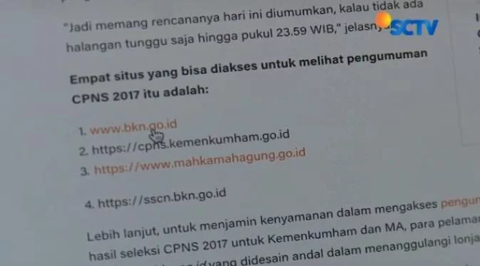 31 Instansi Umumkan Hasil Seleksi Administrasi CPNS Gelombang Kedua