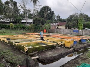 30 Kolam Lele Sangkuriang