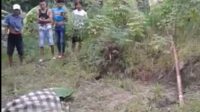 Mayat Pria Tak Dikenal Ditemukan Warga, Terapung di Sungai Pemalang