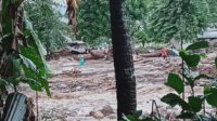 Bencana Banjir Bandang NTT: 128 Meninggal, 71 Hilang ?