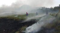 Kebakaran Dilahan kosong, Petugas Kesulitan Memadamkan