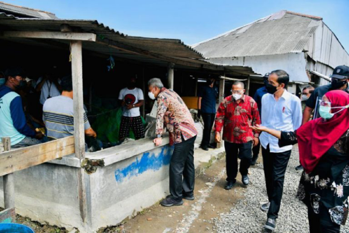 Presiden Joko Widodo dan Gubernur Jawa Tengah Ganjar Pranowo Saat Kunjungan Kerja di Cilacap