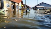 Banjir Rob Paling Parah Terjang Pesisir Brebes, Ini Kata Warga