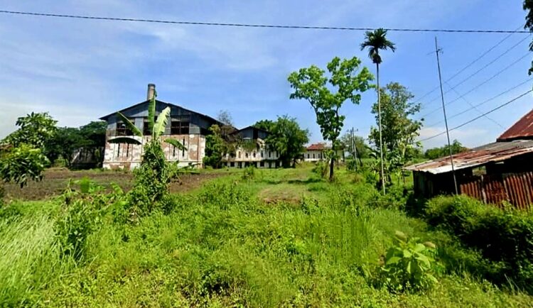 Jejak Kolonial di Pemalang Sebabkan Kerusakan Alam