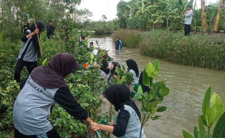 Hari Lingkungan Hidup Sedunia, Pelajar dan Kelompok Masyarakat Pemalang Ini Tanam Mangrove di Lahan Kritis