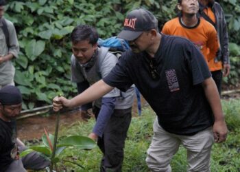 Pemalang Siap Tanam Sejuta Pohon