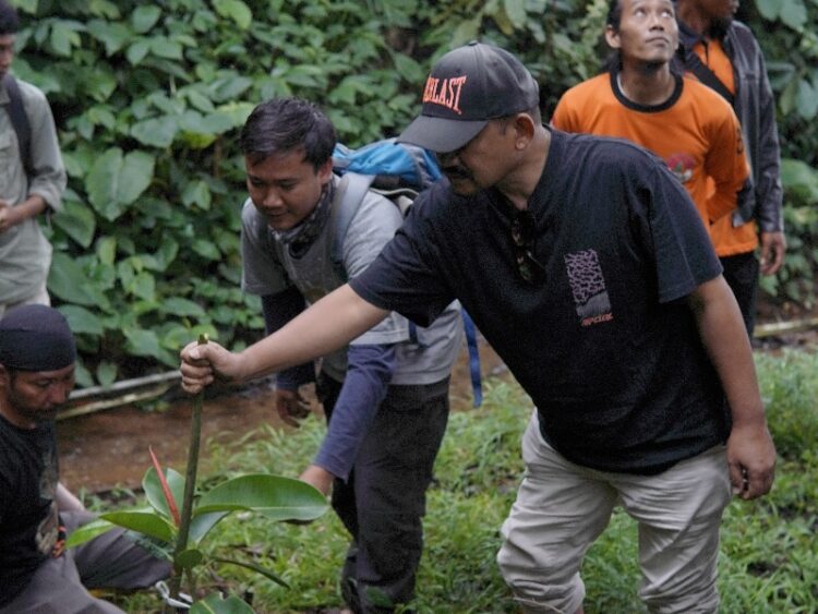 Pemalang Siap Tanam Sejuta Pohon
