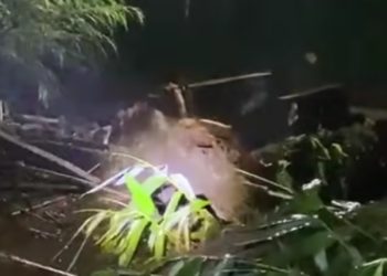 Banjir Bandang di Pemalang, Makan Korban Jiwa