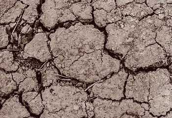 Ilustrasi Tanah Retak.